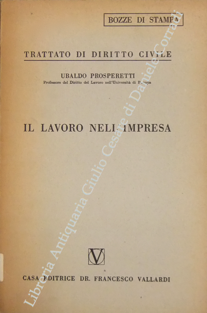 Il lavoro nell'impresa