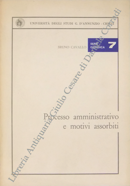 Processo amministrativo e motivi assorbiti