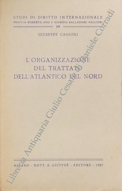 L'organizzazione del trattato dell'Atlantico del Nord