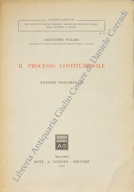 Il processo costituzionale. Nozioni preliminari
