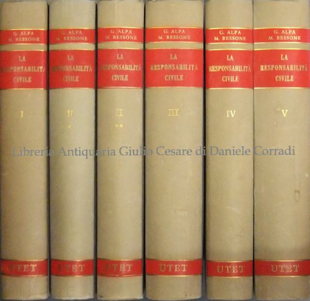 La responsabilità civile. Una rassegna di dottrina