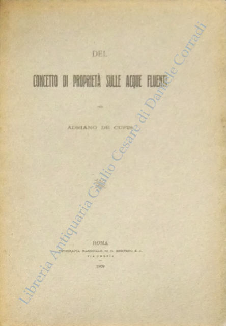 Del concetto di proprietà sulle acque fluenti