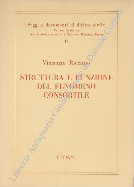 Struttura e funzione del fenomeno consortile