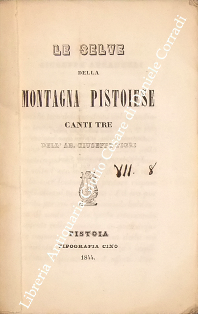 Le selve della montagna pistoiese