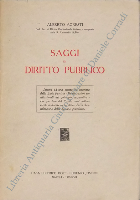 Saggi di diritto pubblico