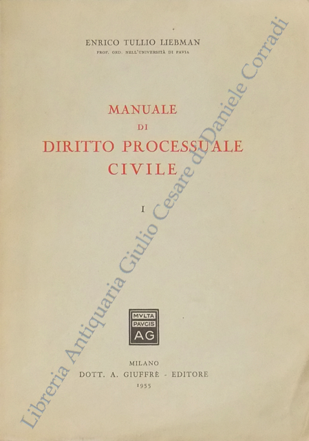 Manuale di diritto processuale civile