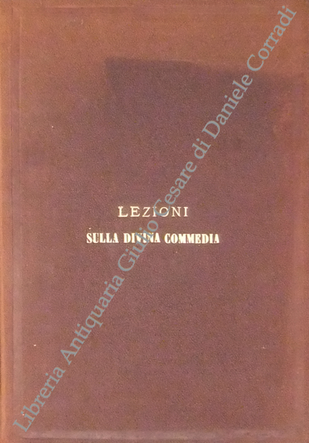 Lezioni sulla Divina Commedia