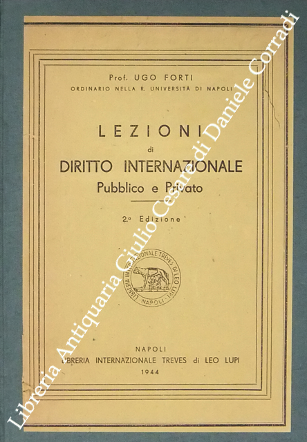 Lezioni di diritto internazionale pubblico e privato