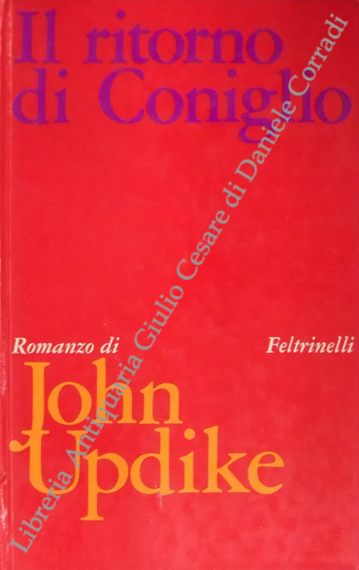 Il ritorno di coniglio