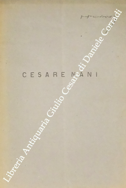 Cesare Nani