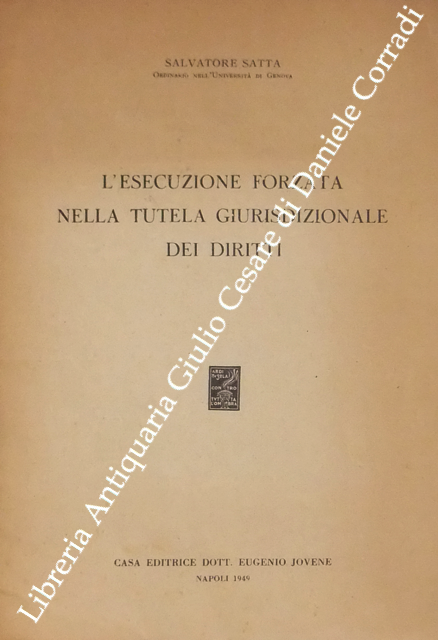L'esecuzione forzata nella tutela giurisdizionale dei diritti