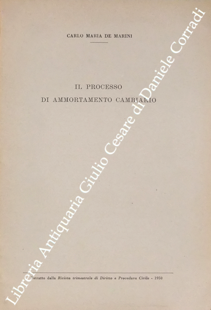 Il processo di ammortamento cambiario
