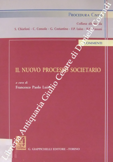 Il nuovo processo societario