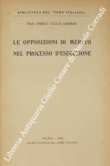Le opposizioni di merito nel processo d'esecuzione
