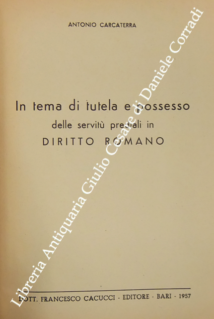 In tema di tutela e possesso delle servitù prediali