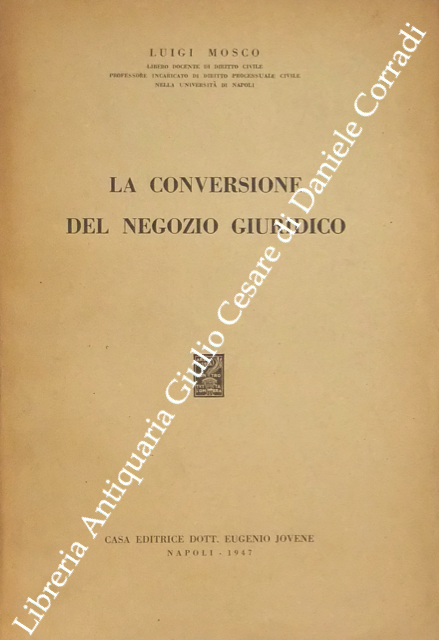 La conversione del negozio giuridico