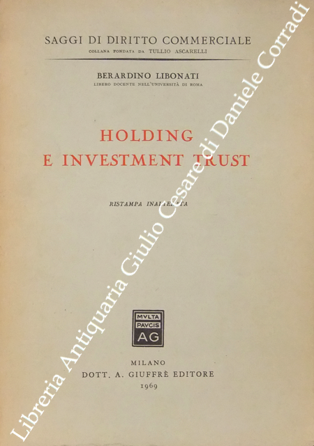 Holding e investment trust