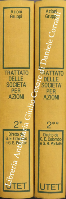 Trattato delle societa per azioni. Vol. II (2 tomi) - Azioni. Gruppi