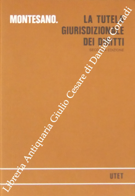 La tutela giurisdizionale dei diritti