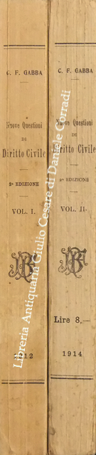Nuove questioni di diritto civile