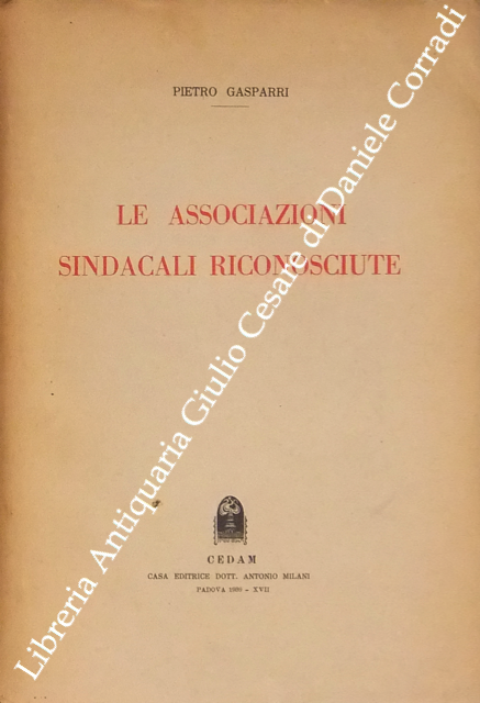 Le associazioni sindacali riconosciute