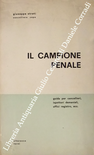 Il campione penale