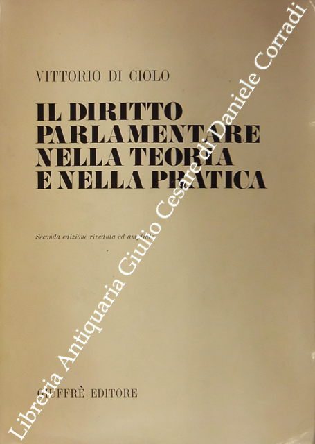 Il diritto parlamentare nella teoria e nella pratica