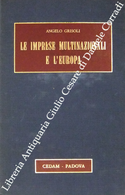Le imprese multinazionali e l'Europa