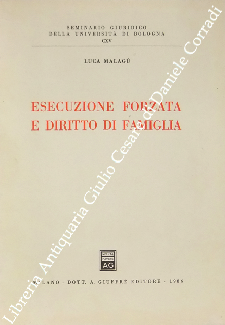 Esecuzione forzata e diritto di famiglia