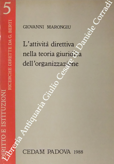 L'attività direttiva nella teoria giuridica dell'organizzazione