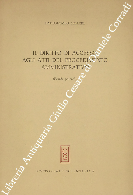 Il diritto di accesso agli atti del processo amministrativo