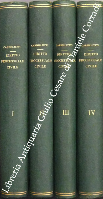 Lezioni di diritto processuale civile
