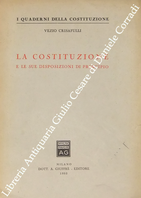 La Costituzione e le sue disposizioni di principio