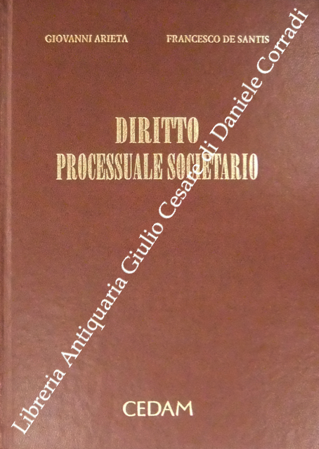 Diritto processuale societario