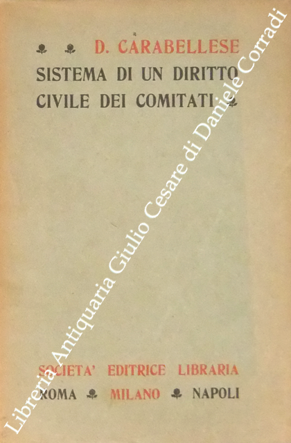 Sistema di un diritto civile dei comitati