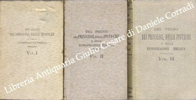 Trattato teorico pratico di diritto civile. Del pegno dei privilegi delle ipoteche e della espropriazione forzata
