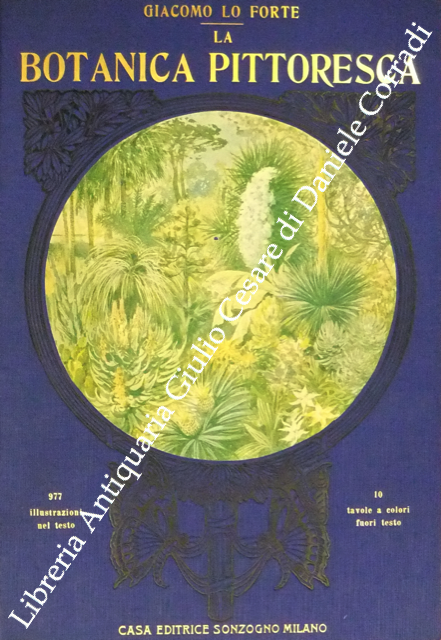 La botanica pittoresca