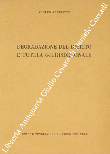 Degradazione del diritto e tutela giurisdizionale
