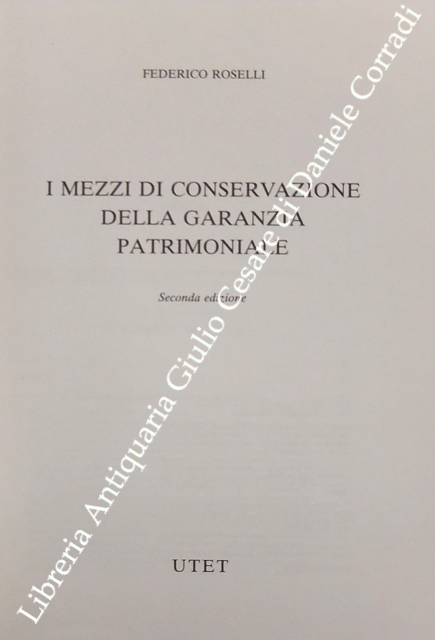 I mezzi di conservazione della garanzia patrimoniale