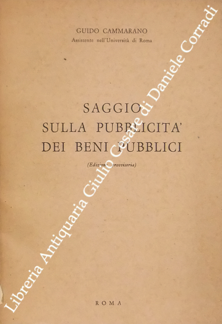 Saggio sulla pubblicità dei beni pubblici