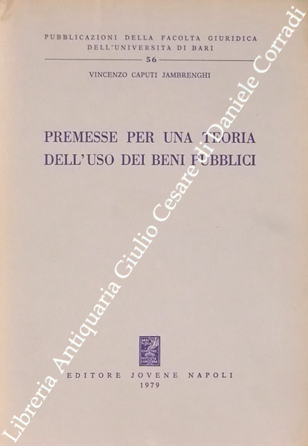 Premesse per una teoria dell'uso dei beni pubblici