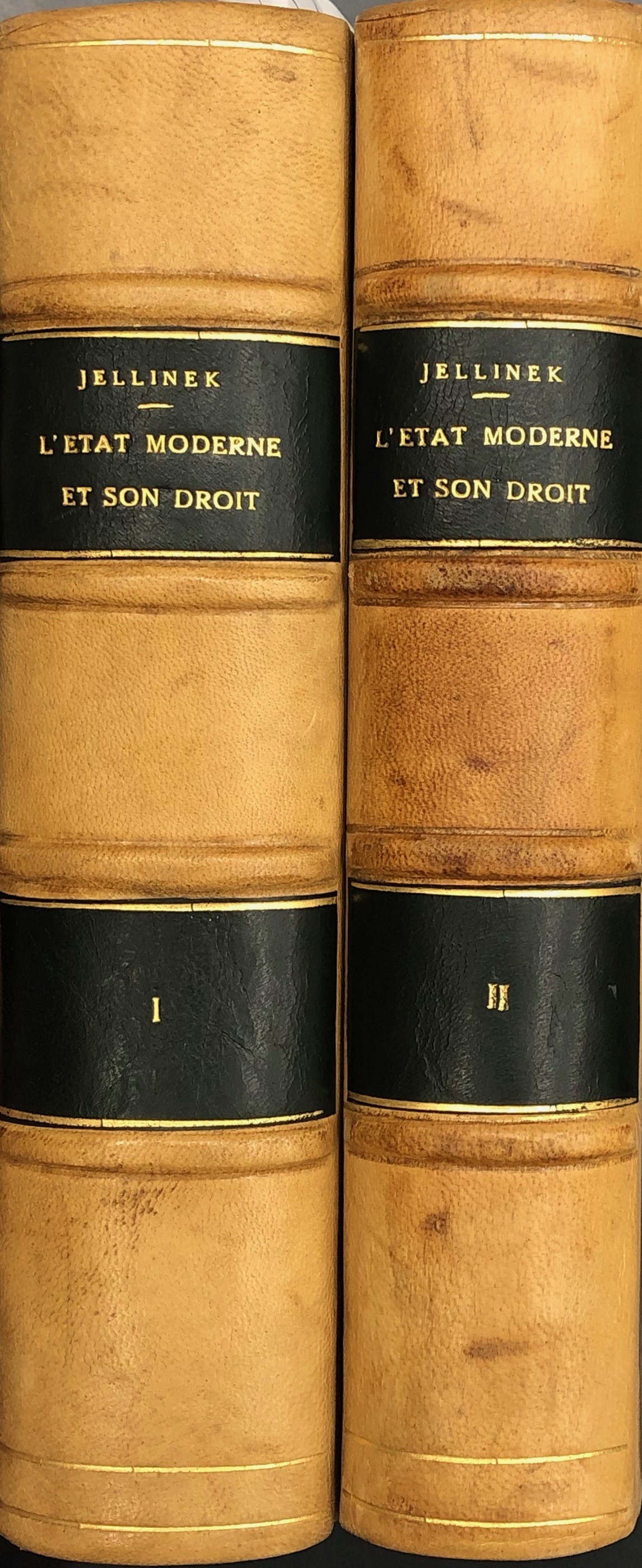 L'Etat moderne et son droit