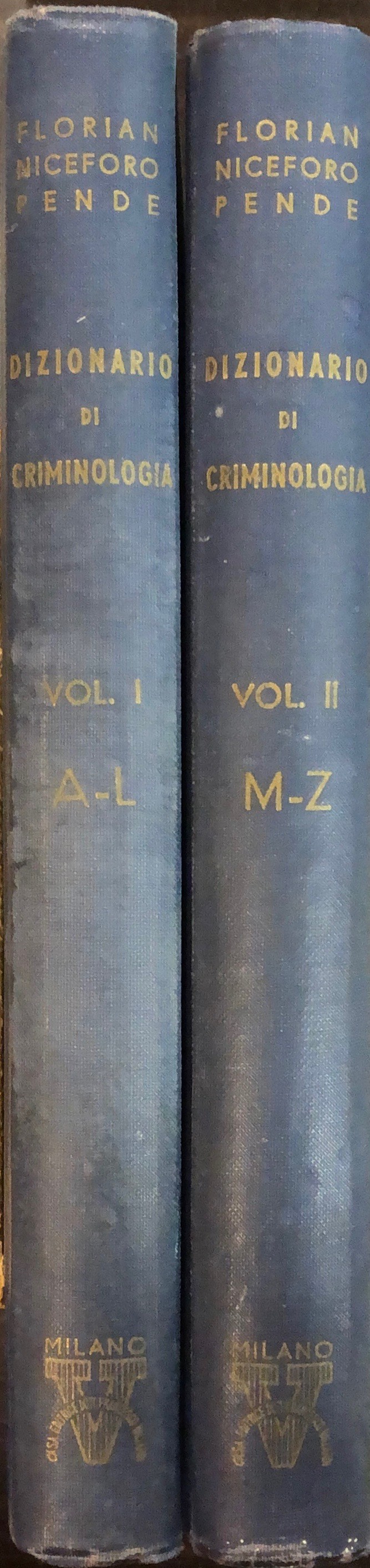 Dizionario di criminologia