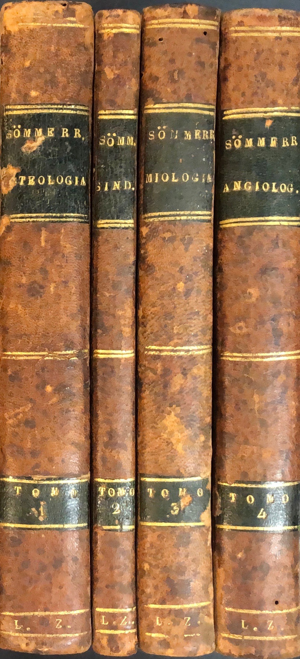 Della fabbrica del corpo umano