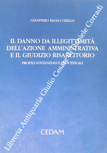 Il danno da illegittimità dell'azione amministrativa e il giudizio risarcitorio