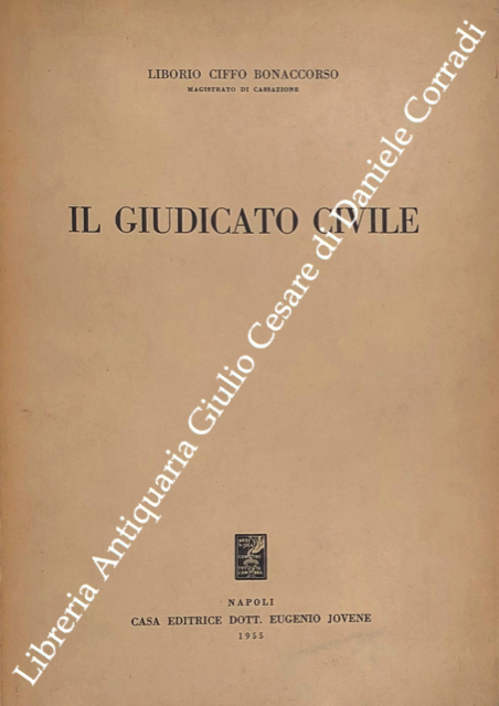 Il giudicato civile