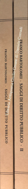 Saggi di diritto pubblico