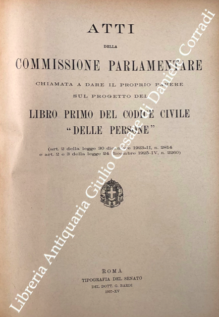 Atti della Commissione parlamentare