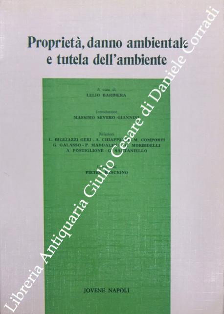 Proprietà, danno ambientale e tutela dell'ambiente