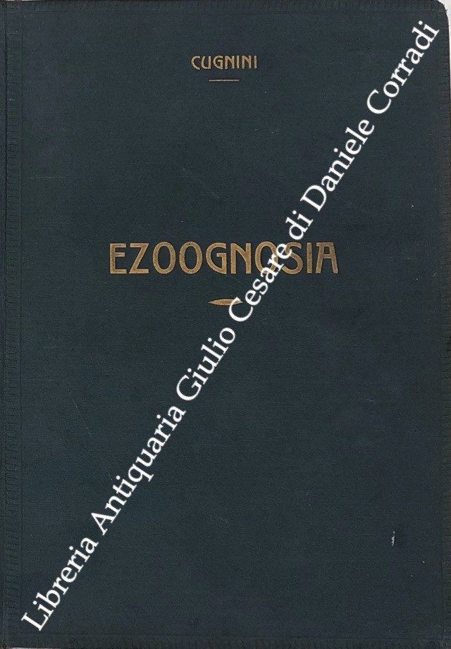 Ezoognosia